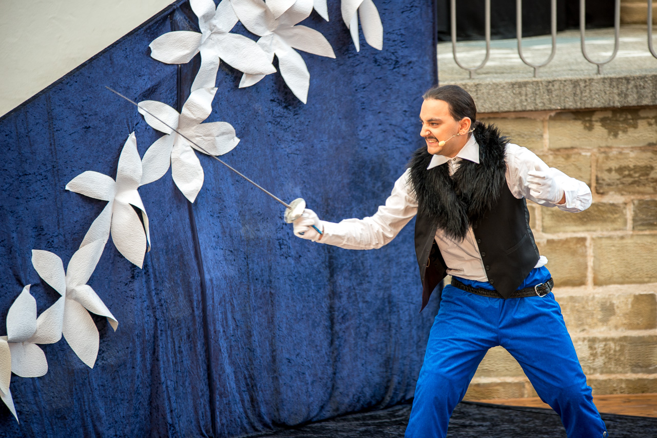 2016: Vicomte Valvert in Cyrano de Bergerac