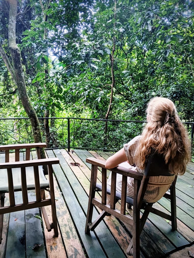 Monkey view from the terrace in front of the room @Nkima Forest Lodge