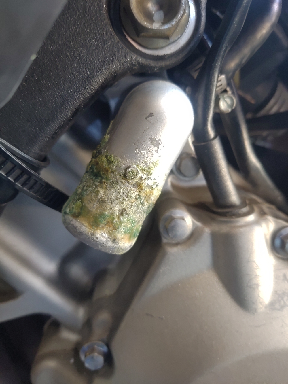 腐食が大