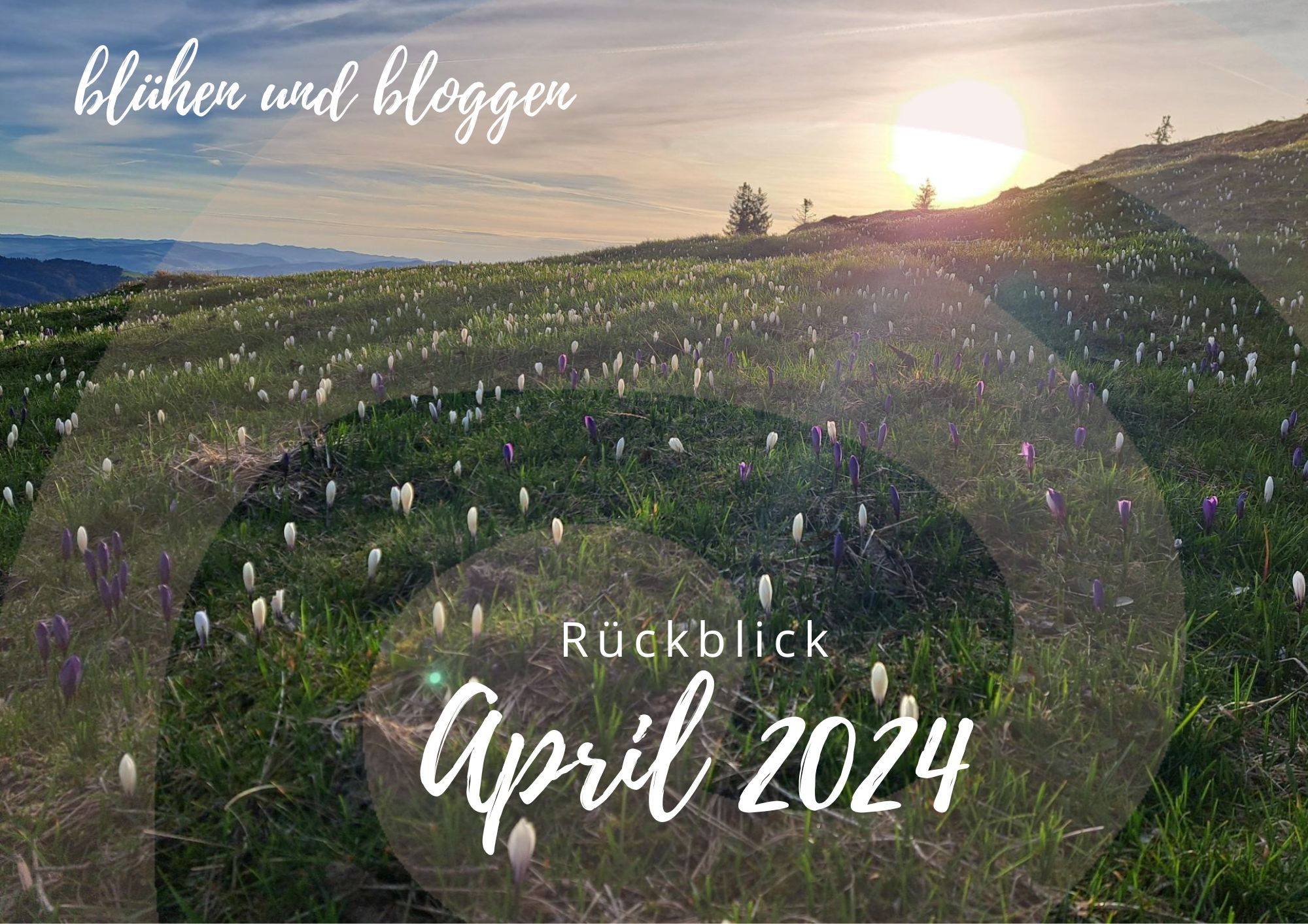 Rückblick April 2024: blühen und bloggen