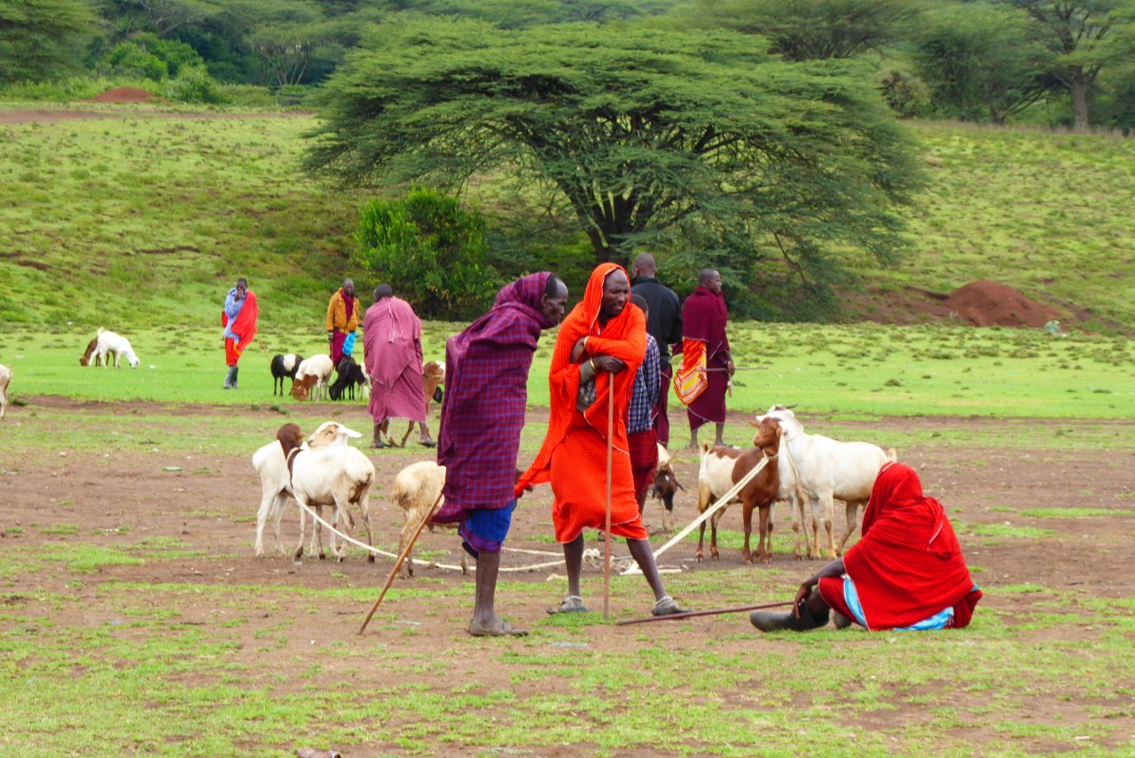 Ziegenhandel der Massai 