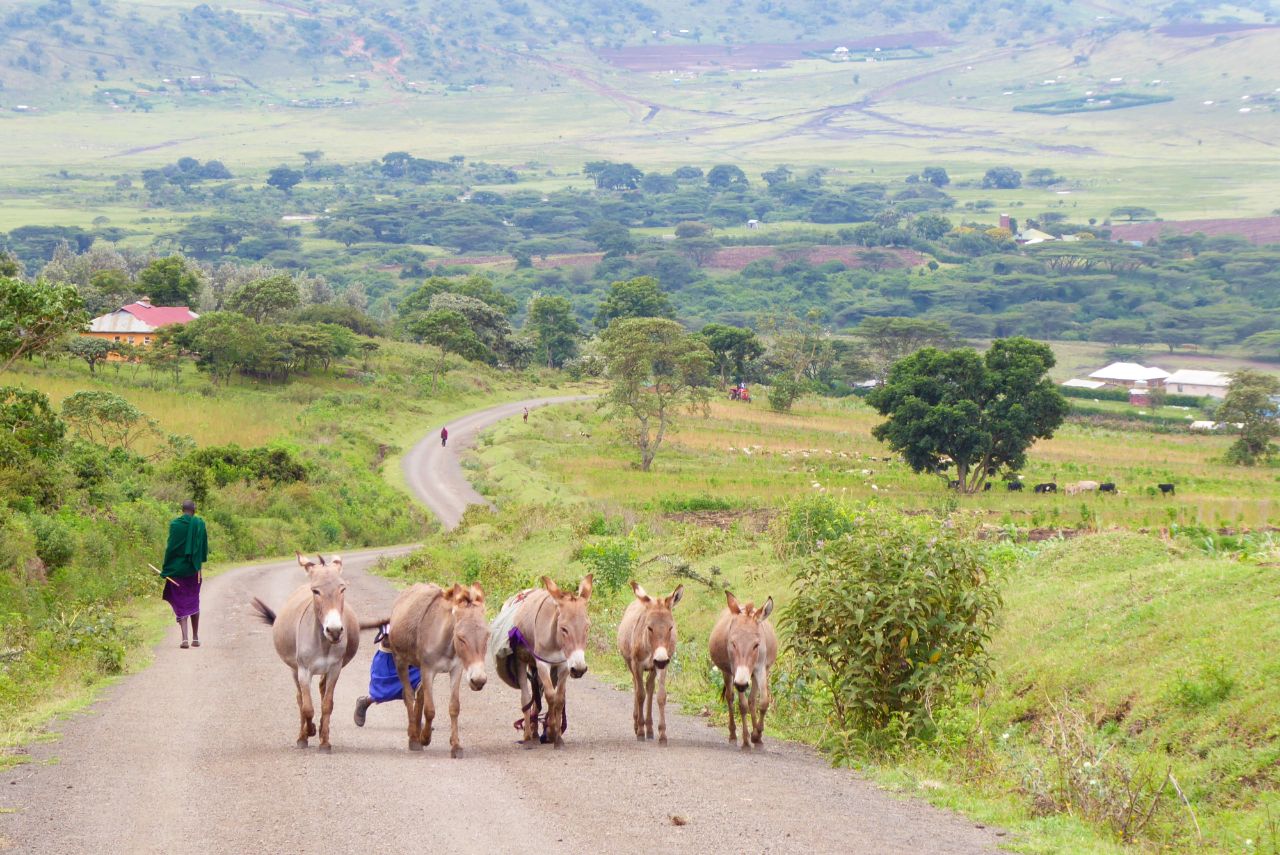 Massai Dorf 