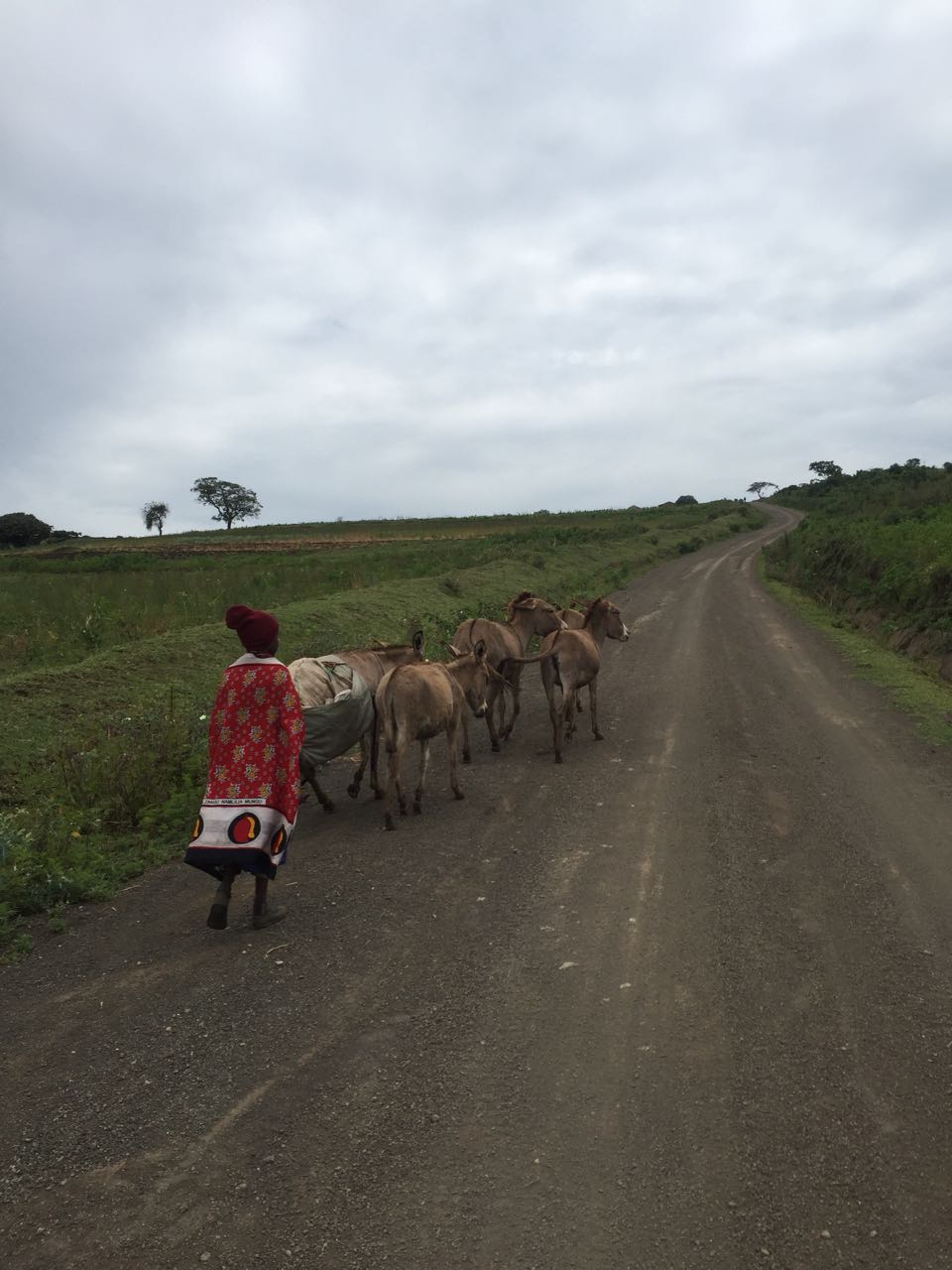 Massai Dorf 
