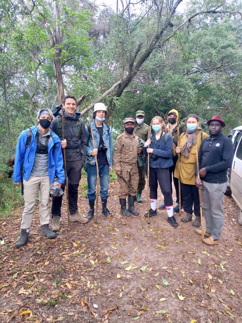 gorilla-trekking-uganda.jpg