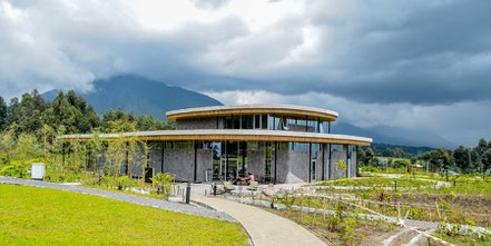 ellen-degeneres-of-dian-fossey-fund.jpg
