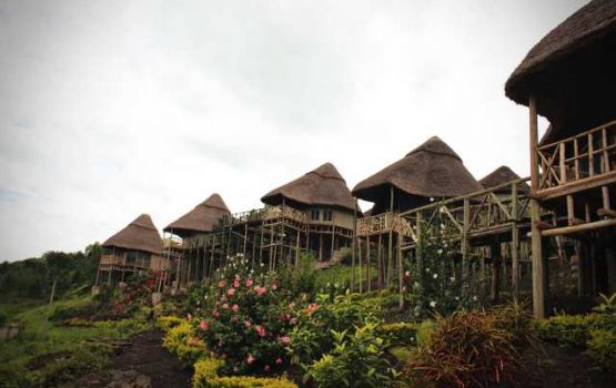 Park-view-safari-lodge.jpg