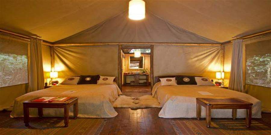 sanctuary-Gorilla-Forest-Camp.jpg
