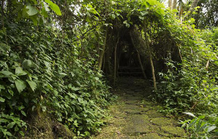 buhanga-eco-park.jpg