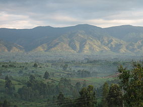 The Rwenzori mountains