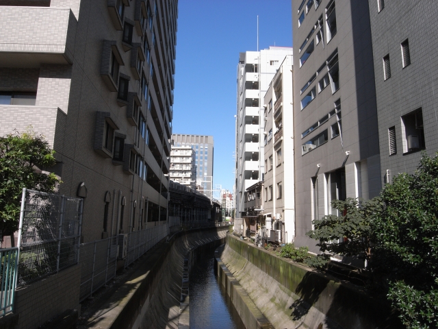 渋谷駅から川に沿って南に歩きます。 奥に見えている東急の高架は 地下鉄副都心線乗り入れ地下化後は見れなくなるのかな？（現在は地下化されています。）