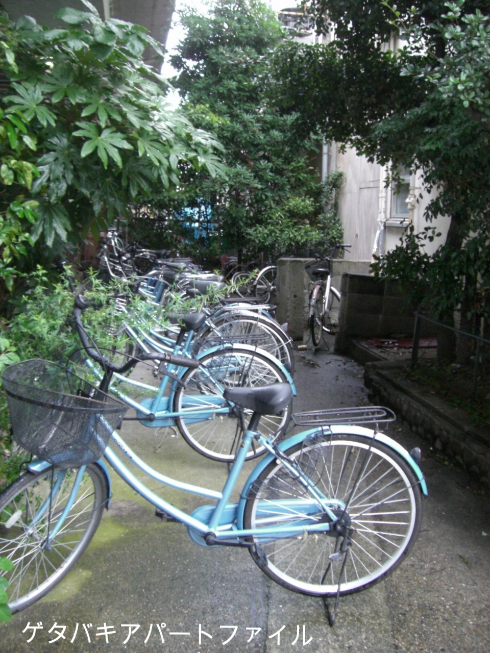同じ色の自転車がいっぱい。市場仕様なのかな?