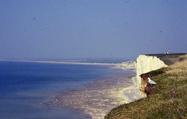 Falaises d'Ault