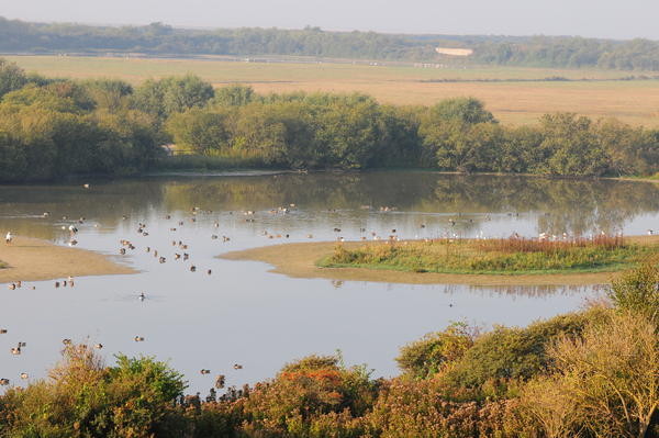 Le Parc du Marquenterre