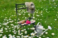 Wiese mit Blumen mit Stuhl auf dem eine Gießkanne steht.