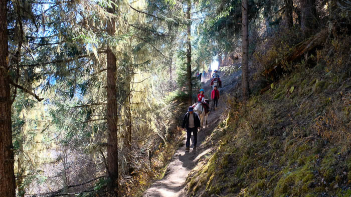 Die ersten Etappen führen uns durch herrliche Bergwälder