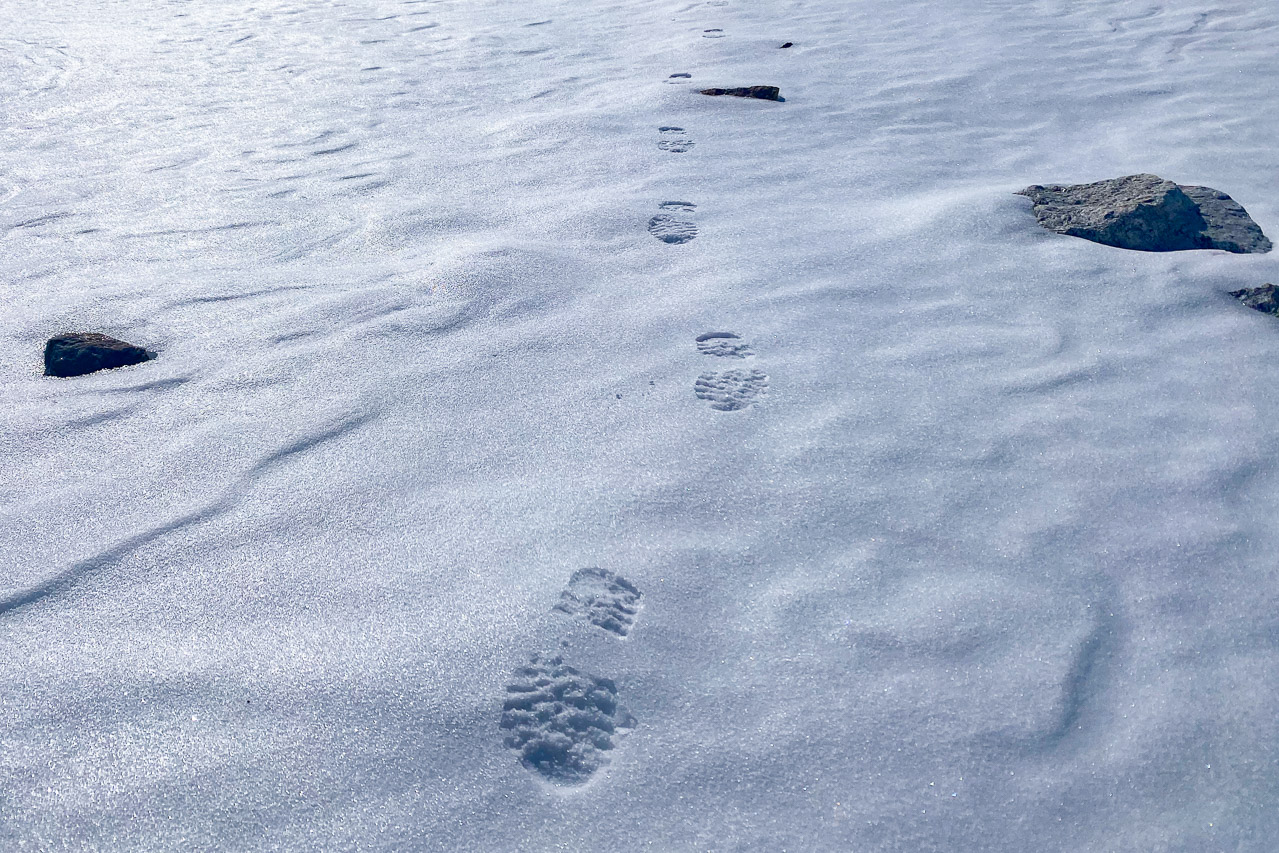 Der gute Trittschnee macht das Laufen angenehm und schnell. Wir wandern oft neben dem eigentlichen Weg. 