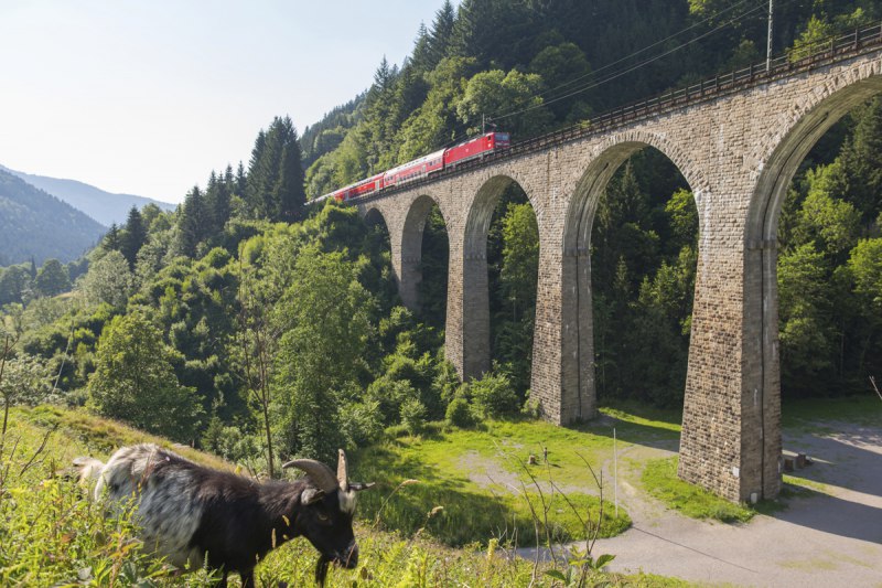 Copyright Hochschwarzwald Tourismus GmbH