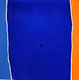 PITTURA CONCETTUALE
