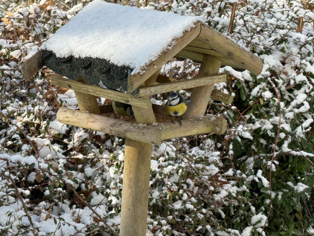 Andrang am Futterhaus