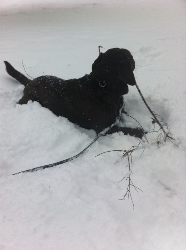 Winterzeit