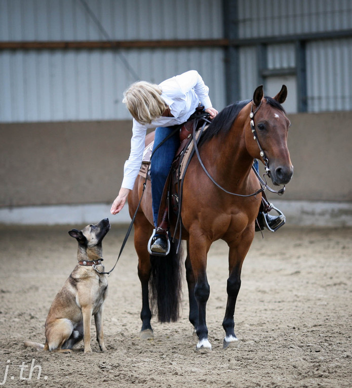 beim Horse & Dog Trail Training, Foto: Jasmin Theuringer