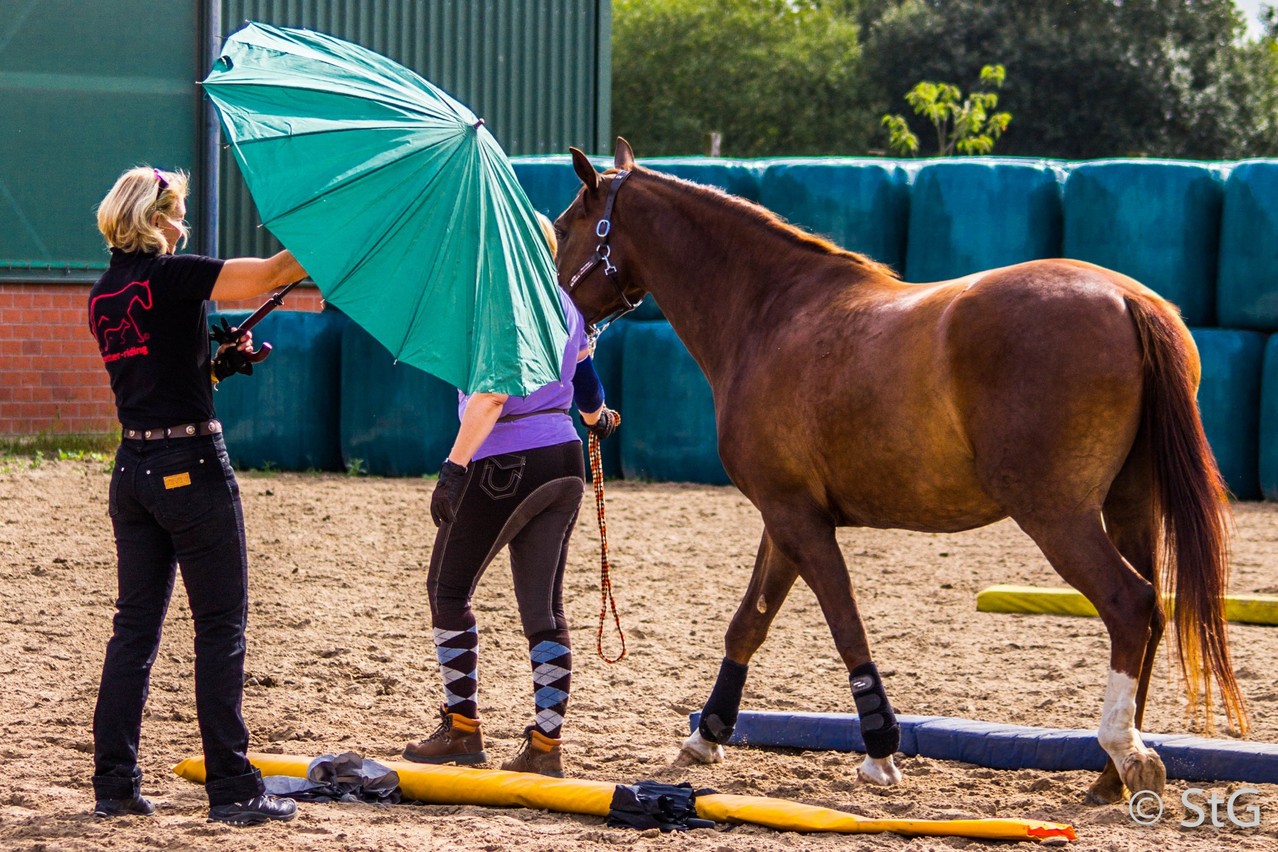 im Gelassenheitstraining, Foto: privat 
