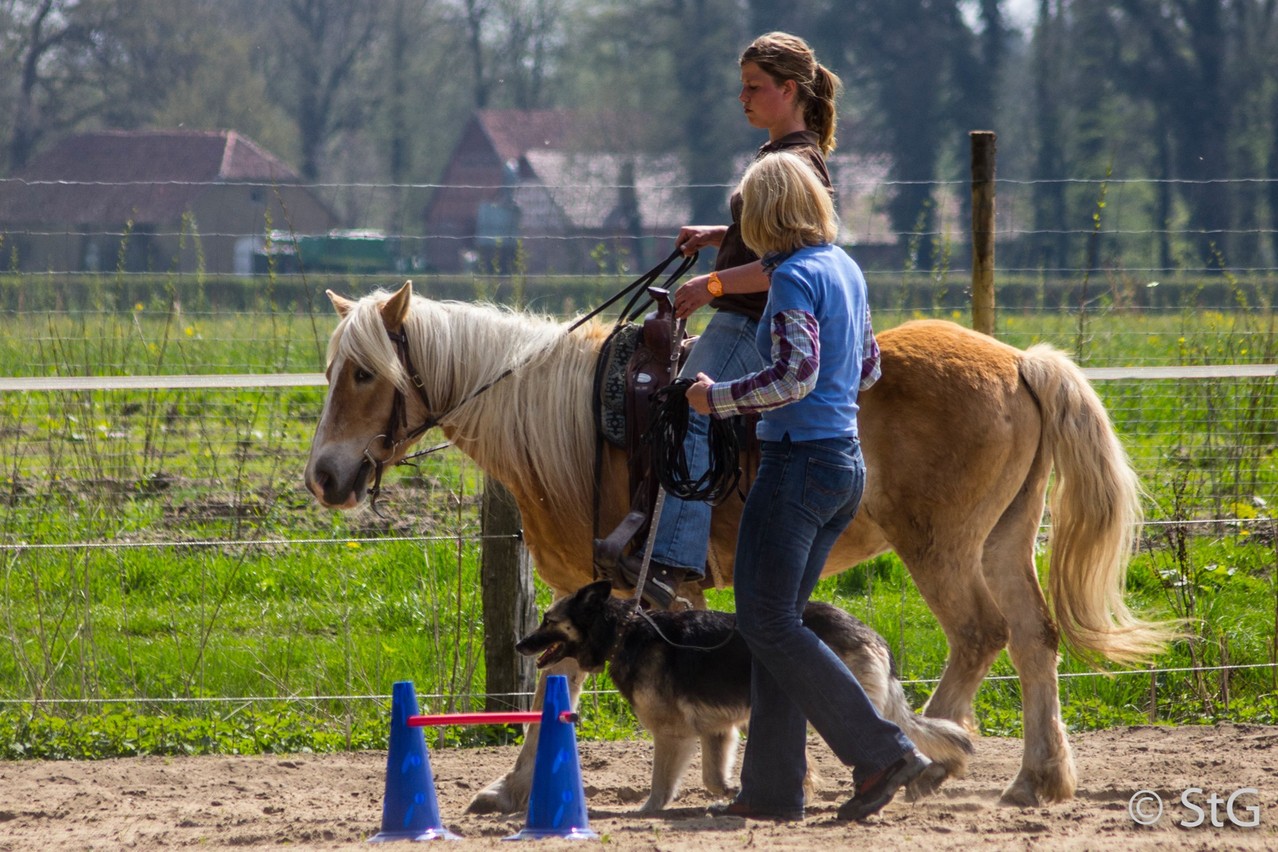 beim Horse & Dog Trail Workshop, Foto:privat 