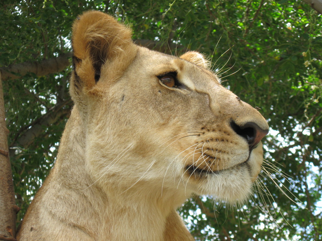 Quel regard !