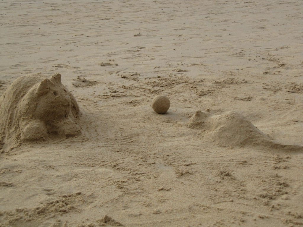 scultpures de chats !