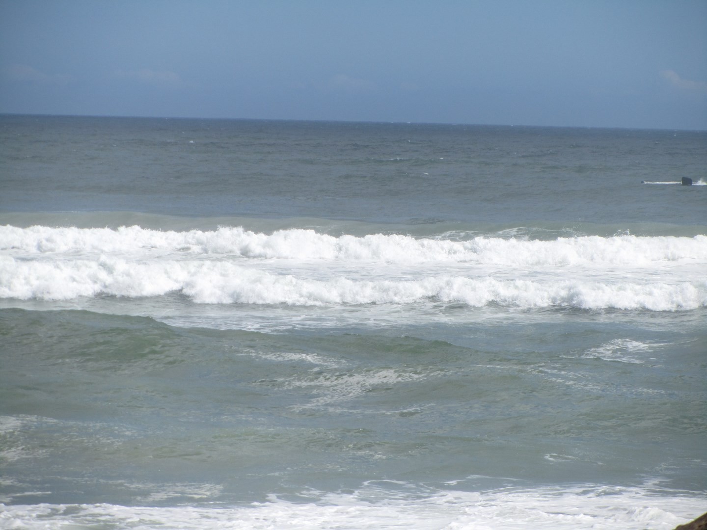 Un bout de baleine ! 