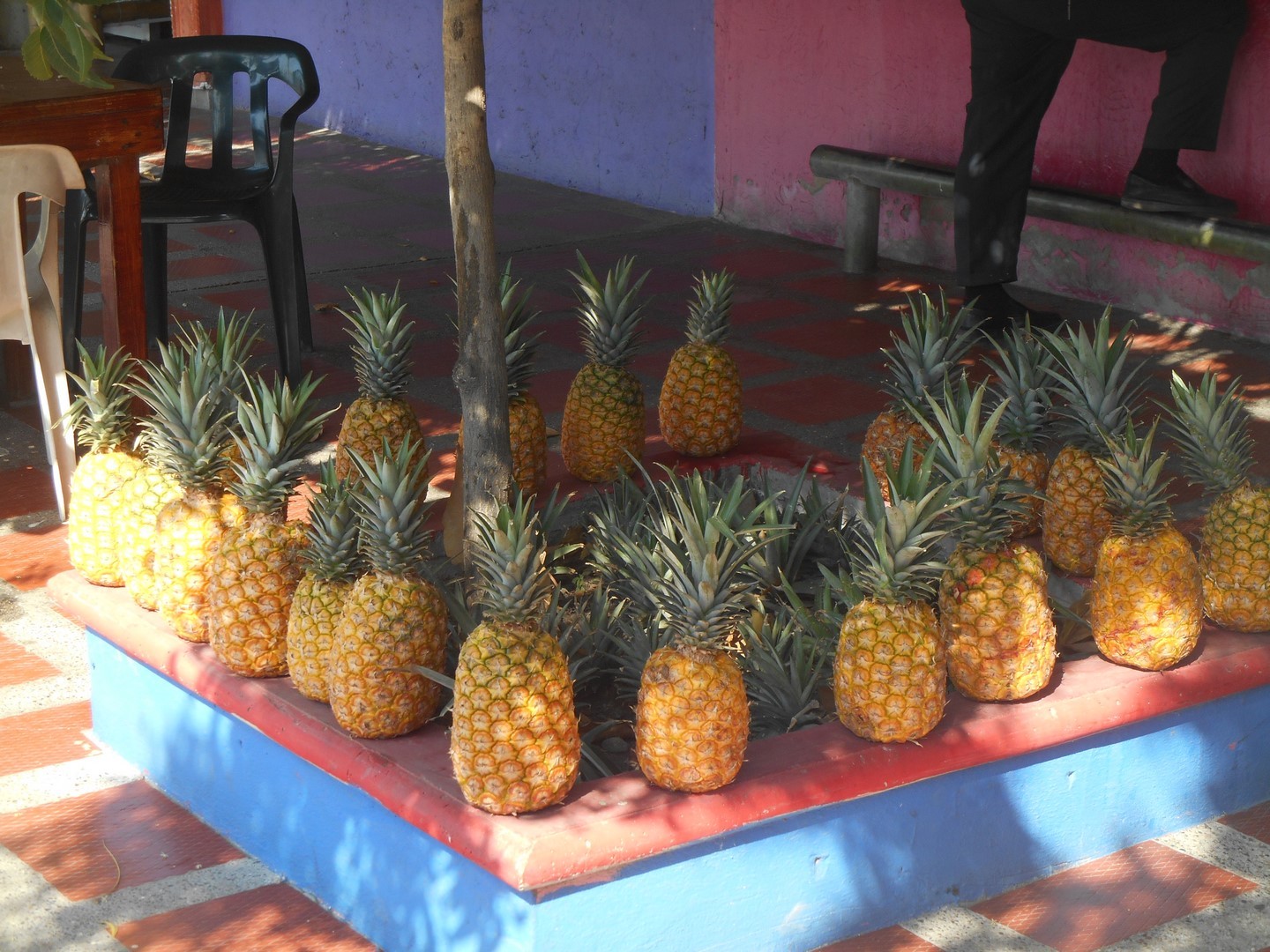 Fruits connus 