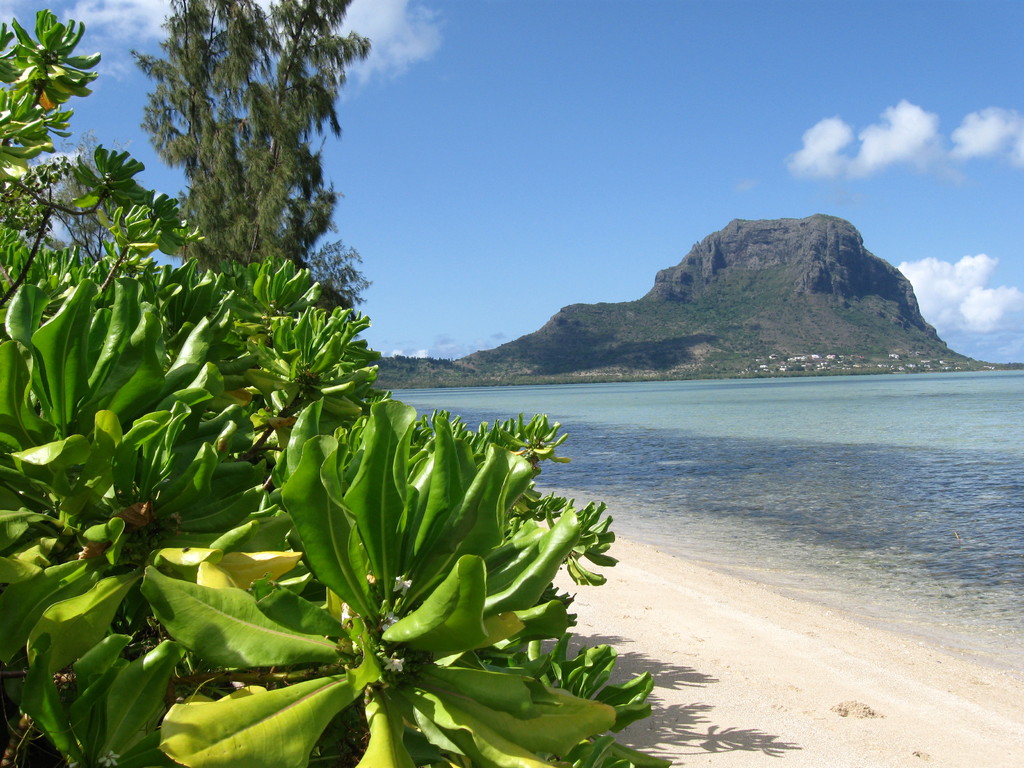 Vue de l'Ile aux Bénitiers