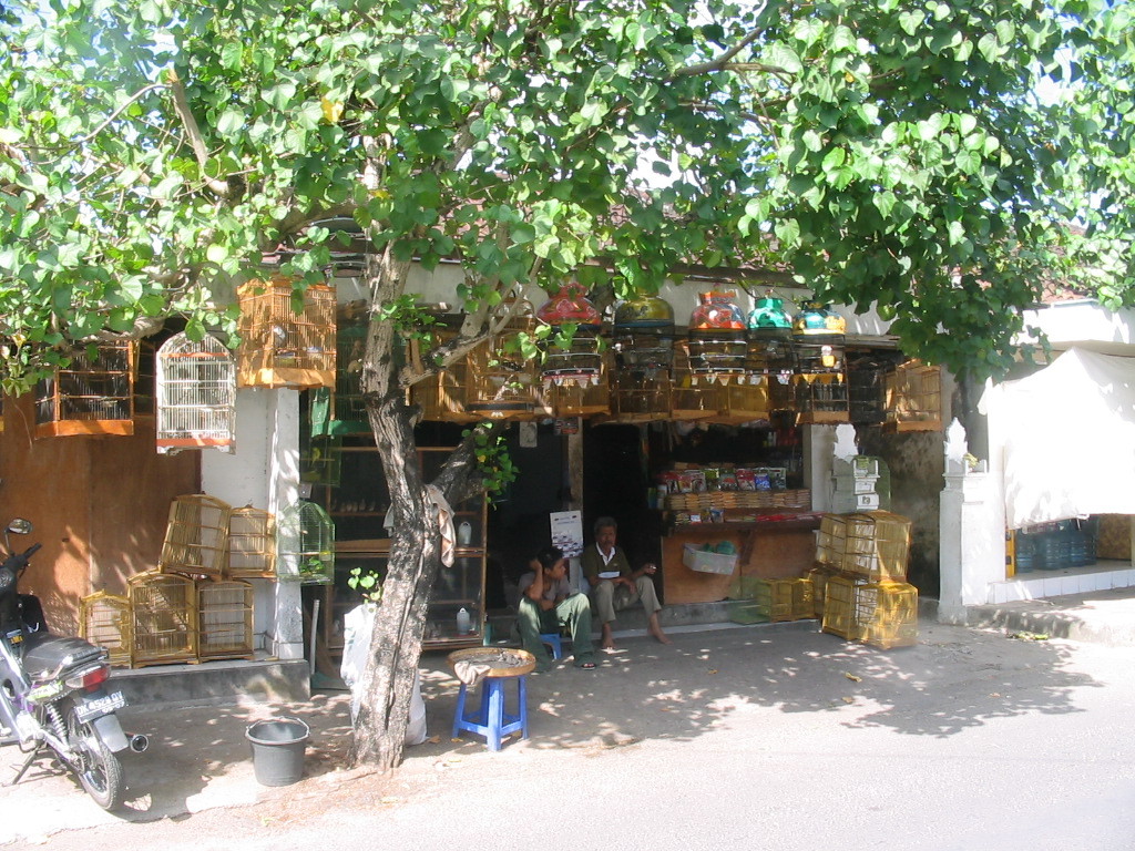 Nusa Dua et les boutiques, ici vente d'oiseaux...