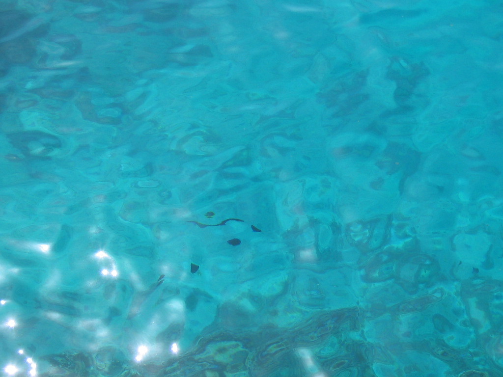 Difficile de croire que c'est la mer, non ? 