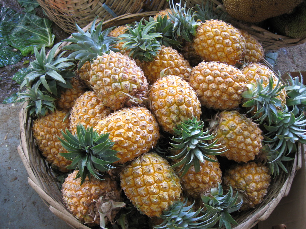 Détail du marché de Vacaos