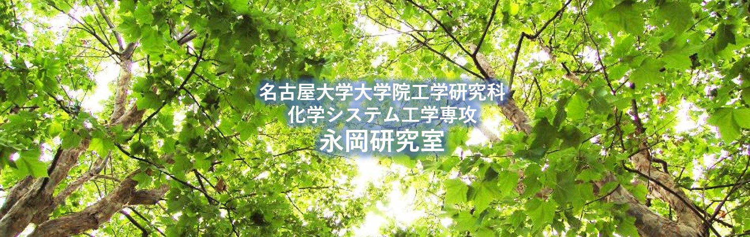 Nagaoka Lab Nagaoya University 名古屋大学 化学システム工学専攻 永岡研究室