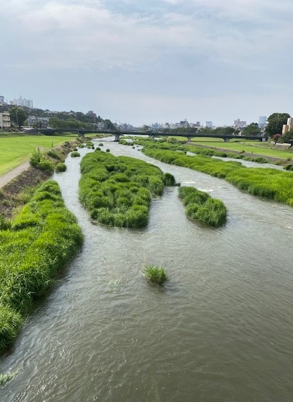 犀川