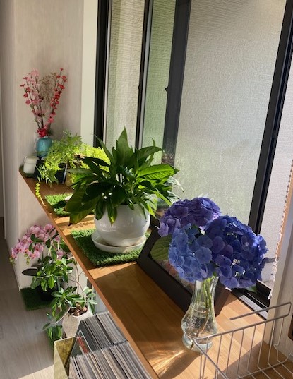 インテリア・６月