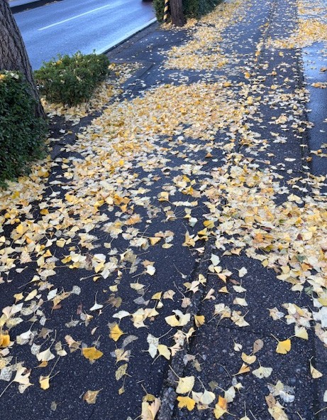 秋の終わり