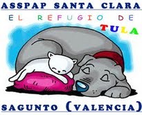 Asoc. Saguntina Sdad. Protectora de Animales y Plantas