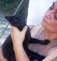 LLUNA, CARIÑOSISIMA GATOPERRO, CONVIVE CON PERROS Y NO SE LLEVA BIEN CON OTROS GATOS, LE ENCANTAN LOS NIÑOS, ESTRILIZADA, SOBRE 2 AÑOS DE EDAD