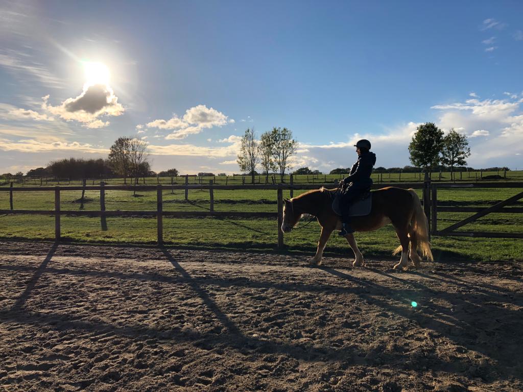 Welshpony, Stute - Rosella - von Doris K.