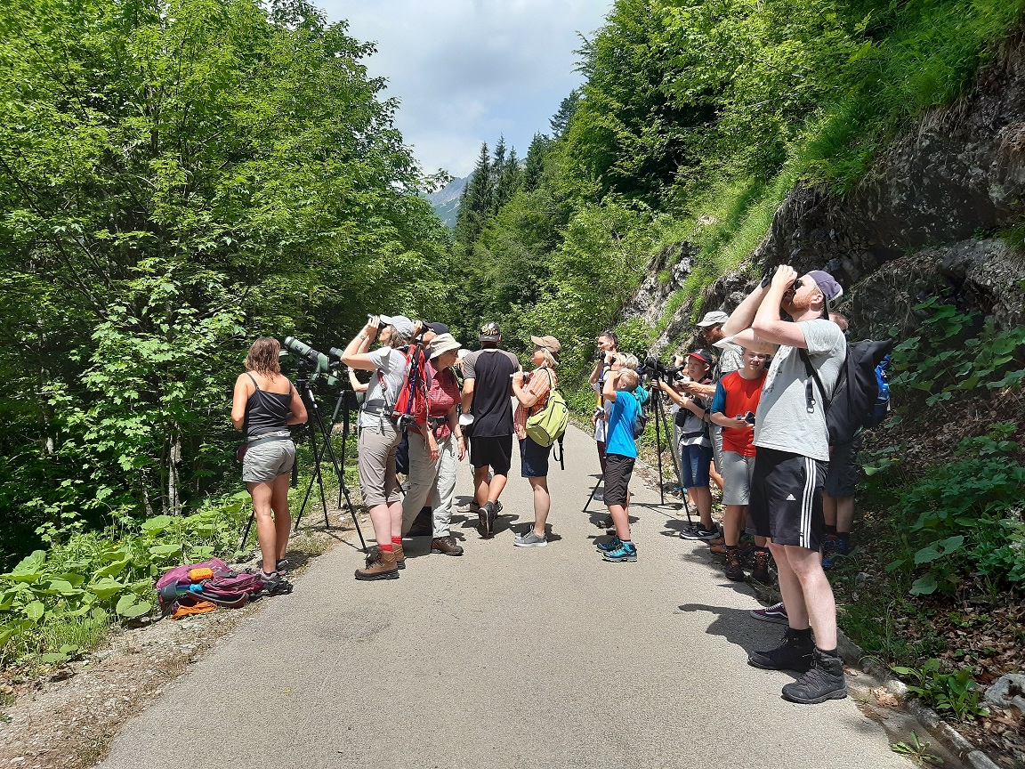 Wahrend der Wanderung ins Reich des Steinadlers - Foto: L. Heuß