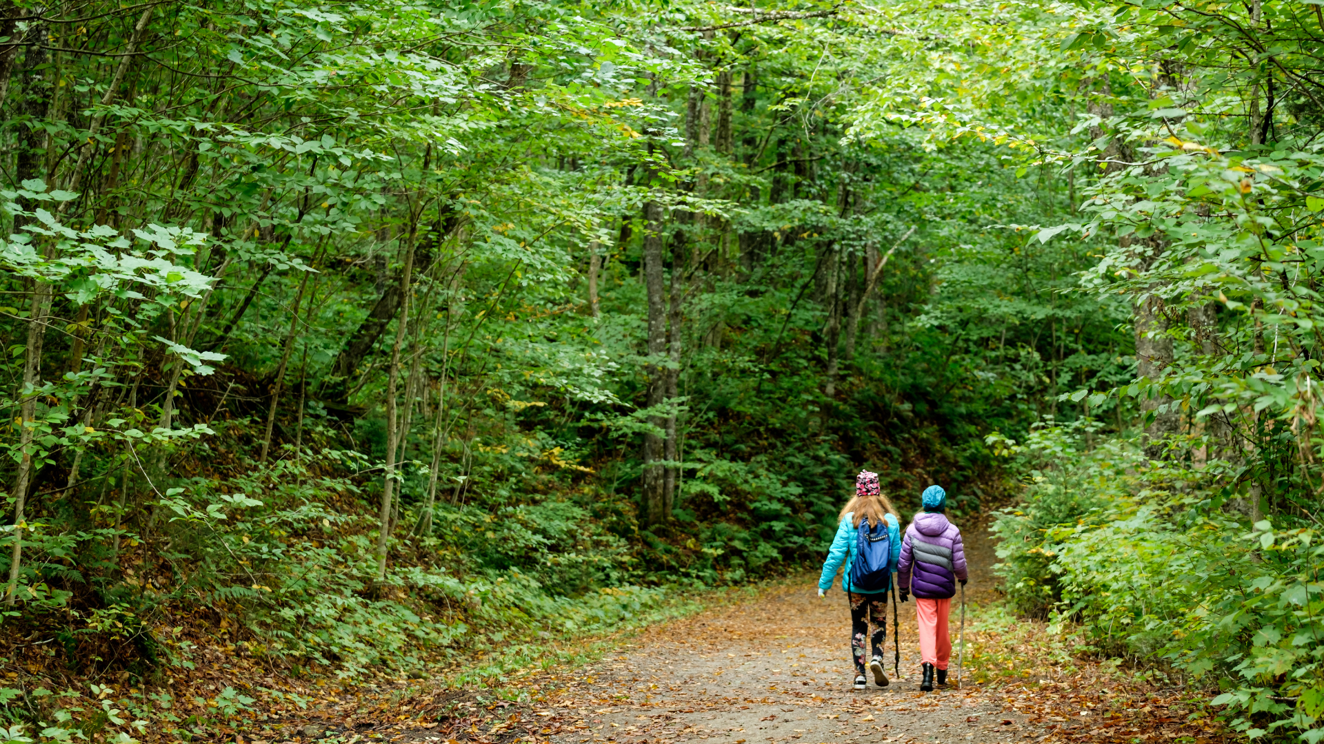 Urlaub im Wald