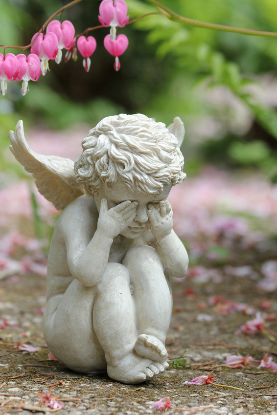 Get Spruch sternenkinder engel For Free