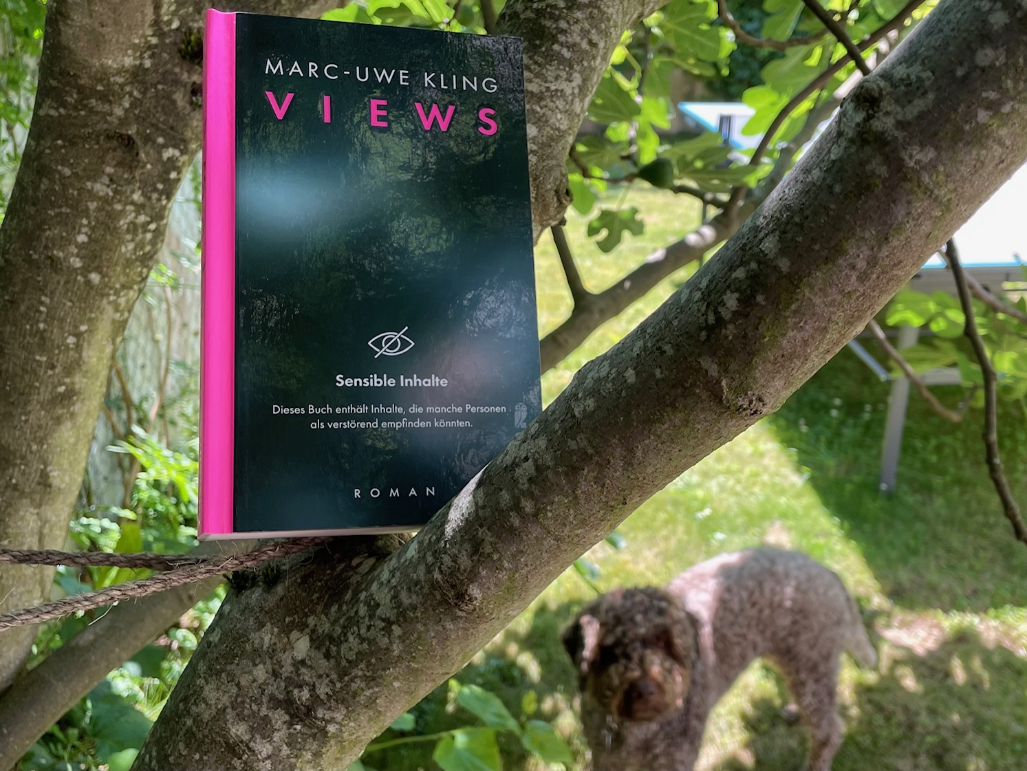 Marc-Uwe Kling: Views (Ullstein, 2024)