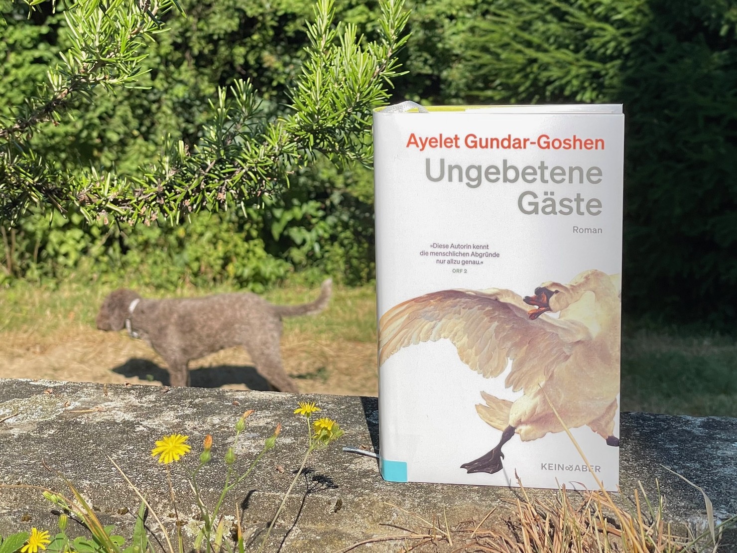 Ayelet Gundar-Goshen: Ungebetene Gäste (Kein & Aber, 2025)