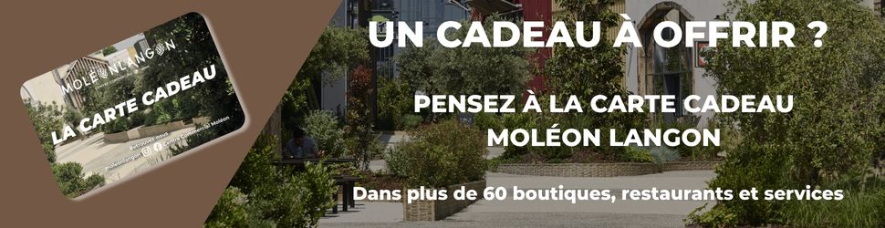 Bannière carte cadeau Moléon Langon