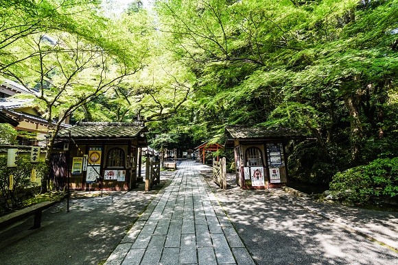 石山寺境内の様子