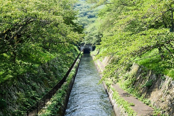 琵琶湖疏水